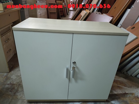 Thanh Lý Tủ Hồ Sơ Cũ 2 Cánh - Mặt ngoài