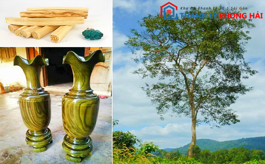 go-doi-mau-la-gi-2 Gỗ Đổi Màu Là Gỗ Gì? Thuộc Nhóm Mấy, Có Đắt Như Lời Đồn
