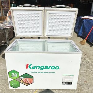 Tủ Đông Mềm Kangaroo Cũ Đang Sử Dụng Tốt