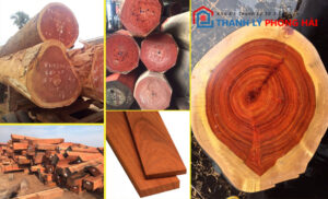 Gỗ hương là gì