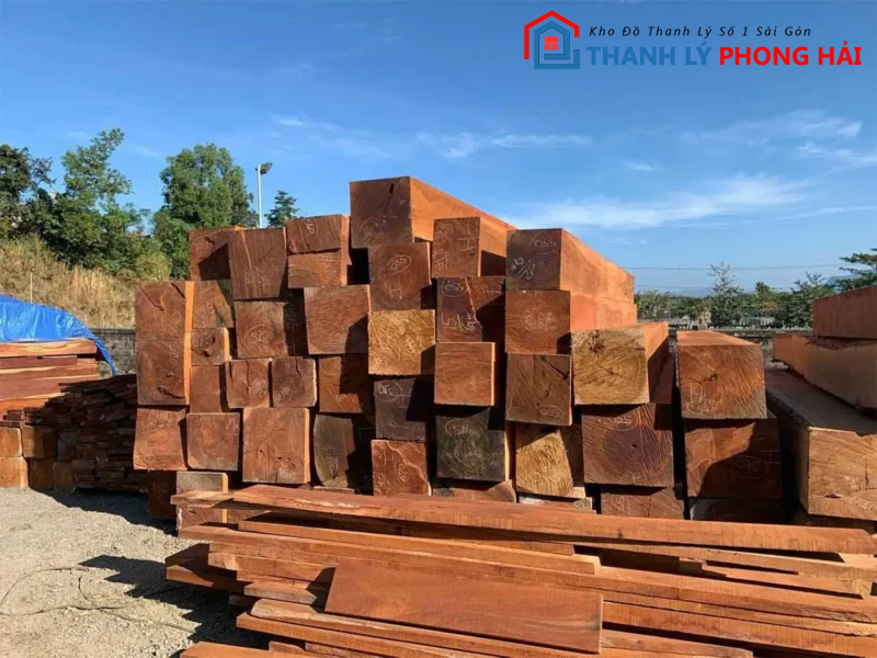 go-cam-xe-la-go-gi-2 Gỗ Căm Xe Là Gì? Những Điều Bạn Cần Biết Về Gỗ Căm Xe