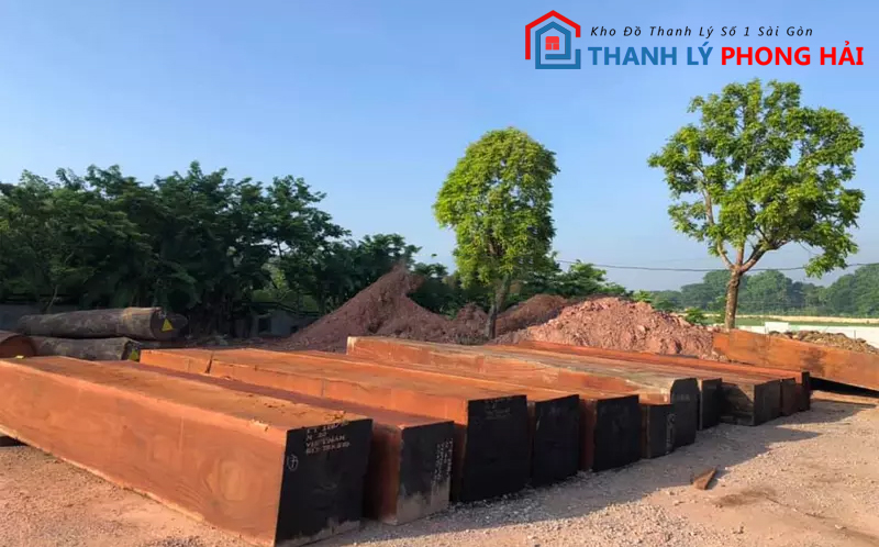 go-cam-xe-la-go-gi-3 Gỗ Căm Xe Là Gì? Những Điều Bạn Cần Biết Về Gỗ Căm Xe