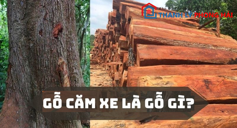 go-cam-xe-la-go-gi Gỗ Căm Xe Là Gì? Những Điều Bạn Cần Biết Về Gỗ Căm Xe
