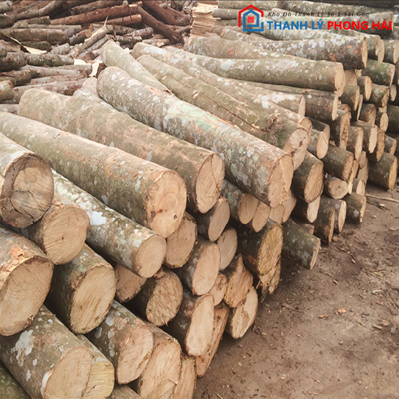 go-tram-la-gi Top 5 Bộ Salon Gỗ Tràm Đẹp Thanh Lý Giá Rẻ Tại Phong Hải