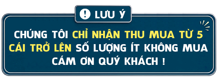 thong-bao-thu-mua-sll-mbgc Địa Chỉ Mua Bán Thanh Lý Quạt Hơi Nước Cũ Uy Tín Tại TPHCM