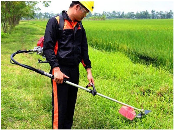 may-cat-do-deo-vai Địa Chỉ Thu Mua Máy Cắt Cỏ Cũ Giá Cao Tại TPHCM