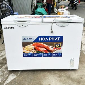 Tủ Đông Hòa Phát HPF BD6245 Cũ