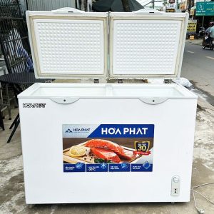 Tủ Đông Hòa Phát HPF BD6245 Cũ