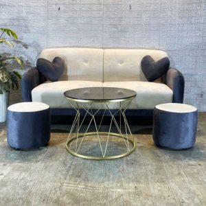 Bộ Sofa 1m6 Kèm Gối Tim Và Bàn Trà Mới 99%