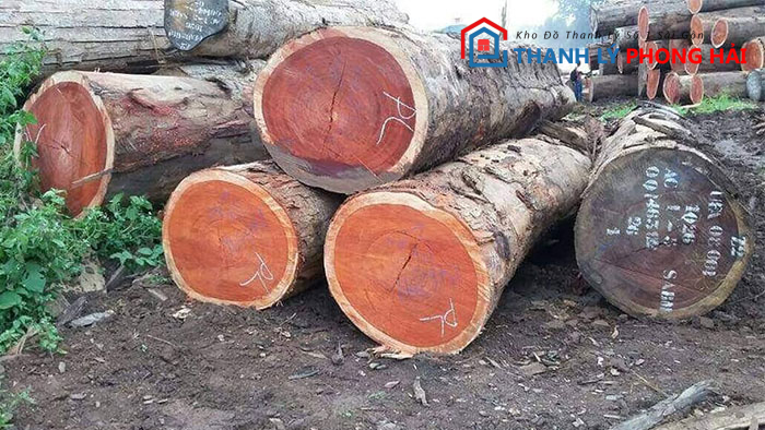 go-dinh-huong-la-gi Gỗ Đinh Hương Là Gì? Đặc Điểm, Phân Loại Và Giá Trị Loại Gỗ Này