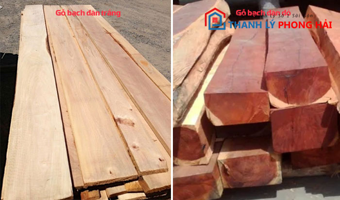 cac-loai-go-bach-dan Gỗ Bạch Đàn  Là Gì? Có Tốt Không? Đặc Điểm Nhận Biết