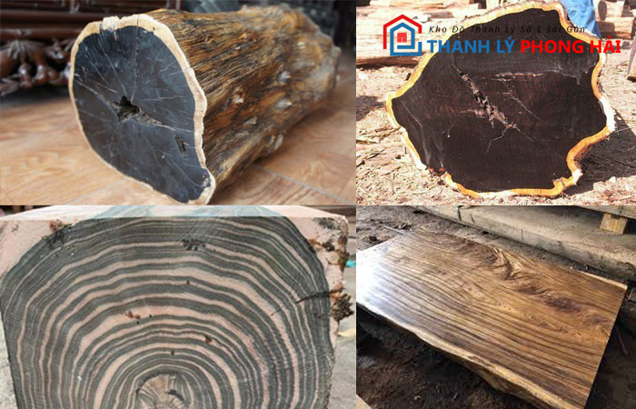 cac-loai-go-mun Gỗ Mun Là Gì? Đặc Điểm, Phân Loại, Giá Trị Sử Dụng