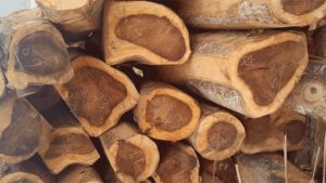 Gỗ chiêu liêu là gì