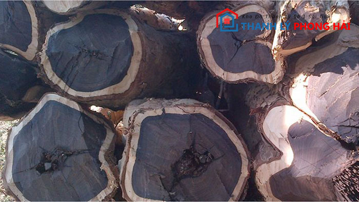 go-mun-la-gi Gỗ Mun Là Gì? Đặc Điểm, Phân Loại, Giá Trị Sử Dụng