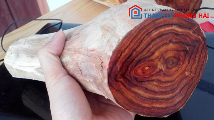 go-sua-la-gi Gỗ Sưa Là Gì? Đặc Điểm Phân Loại & Cách Nhận Biết