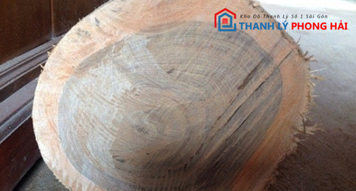 nhan-biet-go-bach-xanh Gỗ Bách Xanh Là Gì? Đặc Điểm, Phân Loại Và Cách Nhận Biết Chuẩn Xác