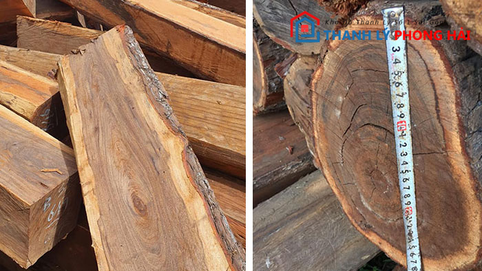 nhan-biet-go-chiu-liu Gỗ Chiêu Liêu Là Gỗ Gì? Phân Loại & Đặc Điểm Nhận Biết