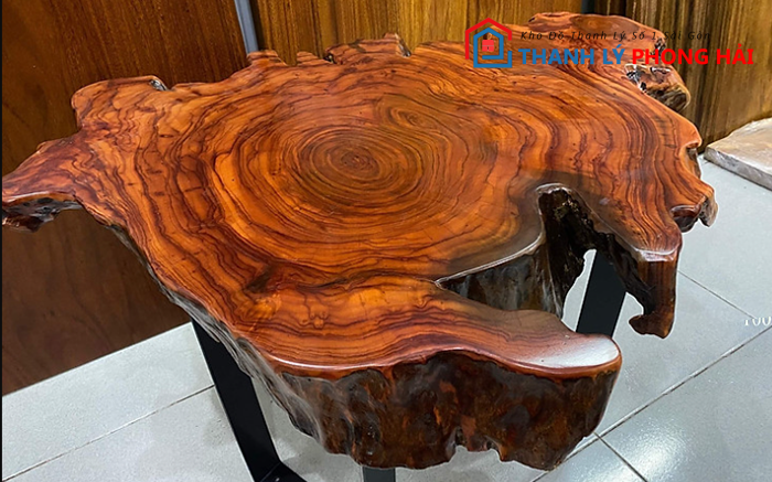 nhan-biet-go-xa-xi Gỗ Xá Xị Là Gì? Đặc Điểm, Phân Loại Và Cách Nhận Biết Loại Gỗ Quý Này