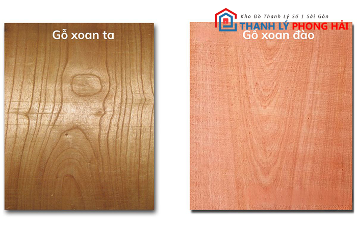 nhan-biet-go-xoan Gỗ Xoan Là Gì? Có Tốt Không, Phân Loại & Đặc Điểm Nhận Biết