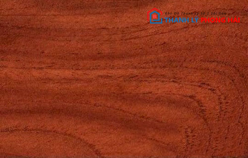 van-go-dai-ngua Gỗ Dái Ngựa Là Gì? Đặc Điểm, Phân Loại Và Cách Nhận Biết