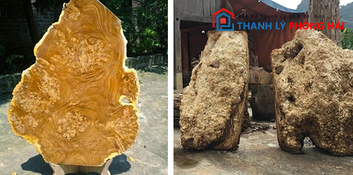 go-nu-nghien-go-nu-dep Gỗ Nu Nghiến Là Gì? Phân Loại & Đặc Điểm Nhận Biết