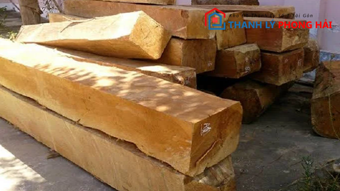 nhan-biet-go-tau Gỗ Táu Là Gì? Phân Loại & Đặc Điểm Nhận Biết