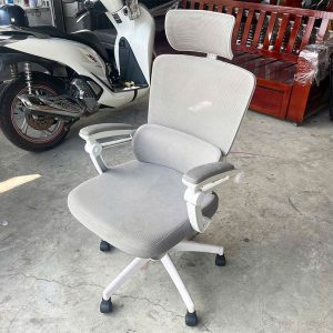 Ghế Công Thái Học Lưng Lưới Xám Cũ