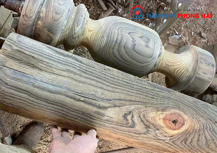 nhan-biet-go-thuy-tung Gỗ Thủy Tùng Là Gì? Phân Loại & Đặc Điểm Nhận Biết