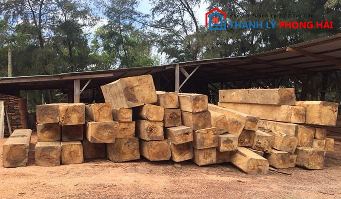 go-bach-tung-la-gi Gỗ Bạch Tùng Là Gì? Phân Loại & Đặc Điểm Nhận Biết