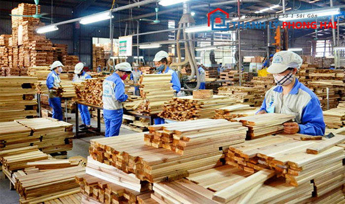 san-xuat-go-cong-nghiep Gỗ Gội Là Gì? Phân Loại & Đặc Điểm Nhận Biết