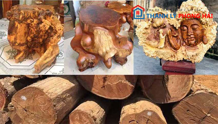 tuong-go-ca-chit Gỗ Cà Chít Là Gì? Phân Loại & Đặc Điểm Nhận Biết