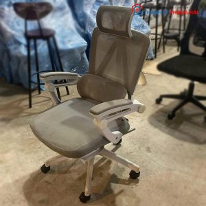 Ghế Công Thái Học Lưng Lưới Hiện Đại Cũ