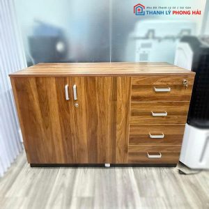 Tủ Hồ Sơ 2 Cánh Kèm 4 Hộc Cũ