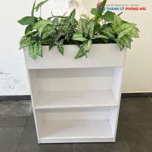 Kệ Trang Trí Kèm Chậu Cây Cảnh Văn Phòng Cũ