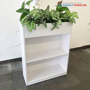 Kệ Trang Trí Kèm Chậu Cây Cảnh Văn Phòng Cũ
