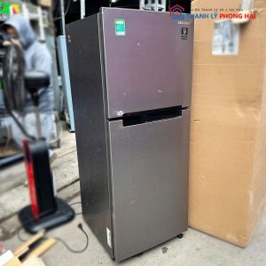 Tủ Lạnh Samsung 2 Cánh RT19M300BGS Cũ