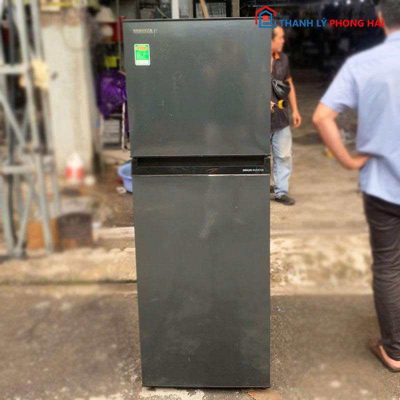 tu-lanh-toshiba-gr-rt303we-pmv-1 Tủ Lạnh Toshiba GR-RT303WE-PMV 2 Cánh 233L Cũ