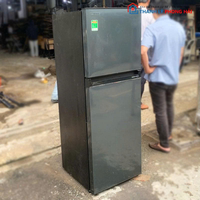tu-lanh-toshiba-gr-rt303we-pmv-2 Tủ Lạnh Toshiba GR-RT303WE-PMV 2 Cánh 233L Cũ